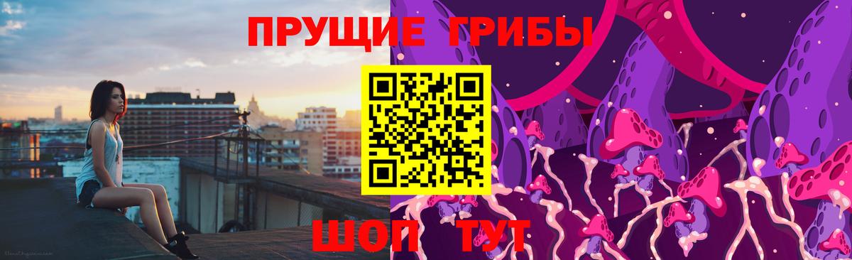 Баксан  Псилоцибиновые грибы MAGIC MUSHROOMS  Галлюциногенные грибы MAGIC MUSHROOMS  Вход с VPN 